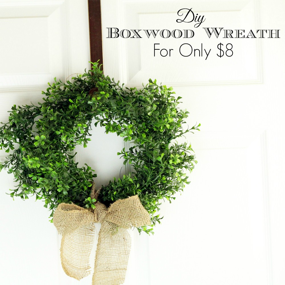 DIY Boxwood Wreath for Only $8