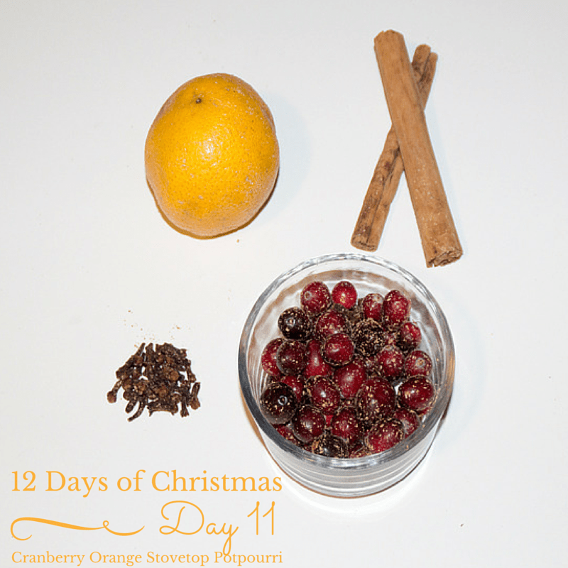 https://www.thesoutherncouture.com/wp-content/uploads/2014/11/Cranberry-Orange-Stovetop-Potpourri-1.png