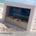 Ocean View Shadow Box