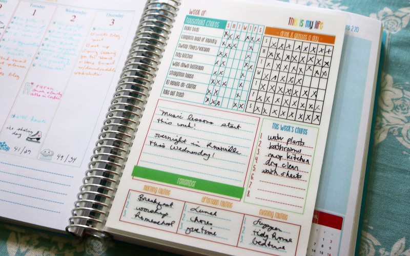 Laminated Daily Planner Insert 