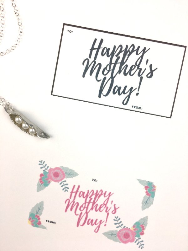 Mother's Day Gift Idea Plus Free Printable Gift Tag 