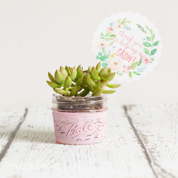 Mini Succulent Planter Gift Idea Plus FREE Printable Gift Tag 