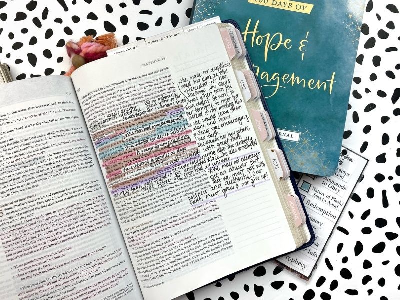 Study Ministry of Jesus with Hope & Encouragement Bible