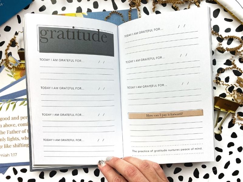 Focus on Gratitude with November Butterfly Box